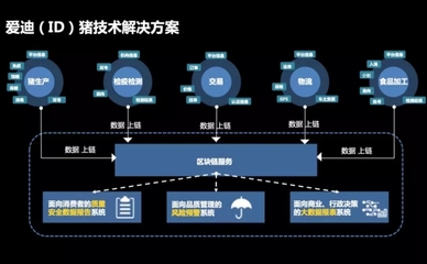 李玉福:區塊鏈在ID豬上的應用
