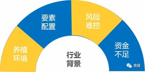 畜牧業(yè)養(yǎng)殖產(chǎn)業(yè)鏈大數(shù)據(jù)平臺(tái) 共享養(yǎng)殖新模式,共榮魯南經(jīng)濟(jì)圈