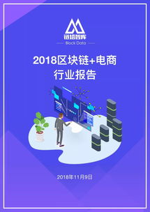 2018區(qū)塊鏈 電商行業(yè)報(bào)告 區(qū)塊鏈初露鋒芒